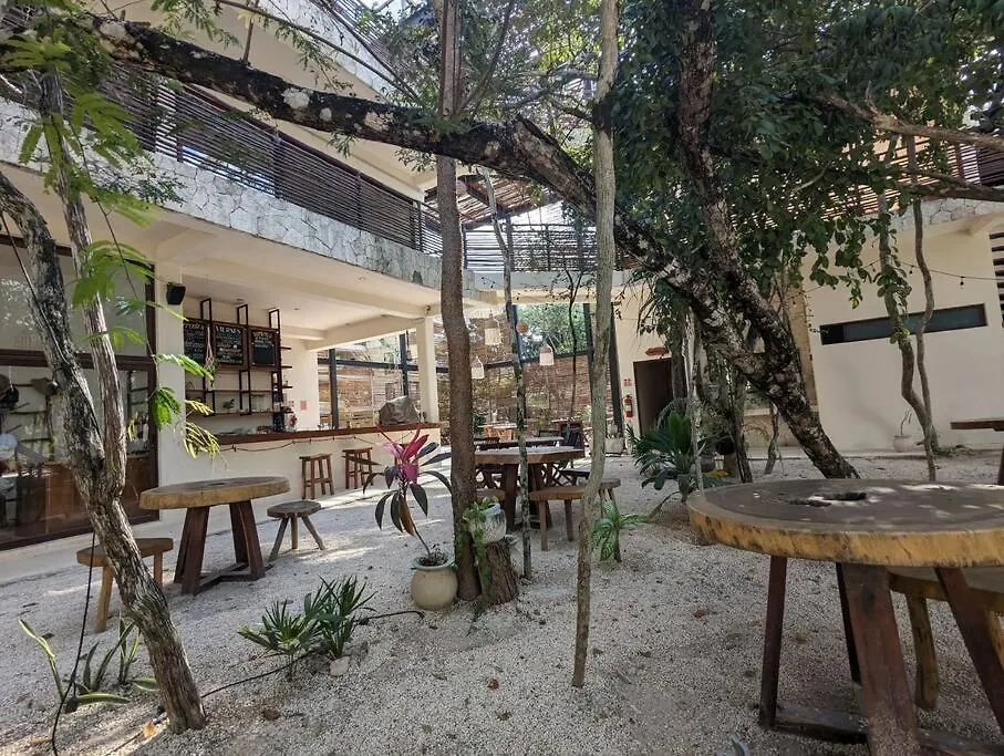 Suite Entre Cenotes Y Selva Tulum Apartment